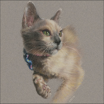 Pet Portraits in Pastels